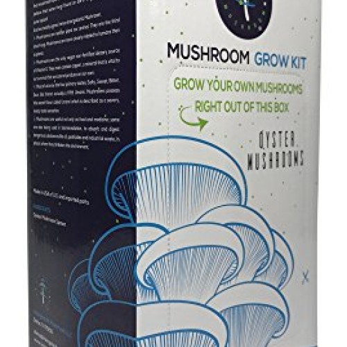 Oyster Mushroom Growing Kit by Intergalactic Mushroom. Grow Edible...