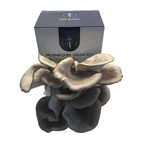 Oyster Mushroom Growing Kit by Intergalactic Mushroom. Grow Edible...