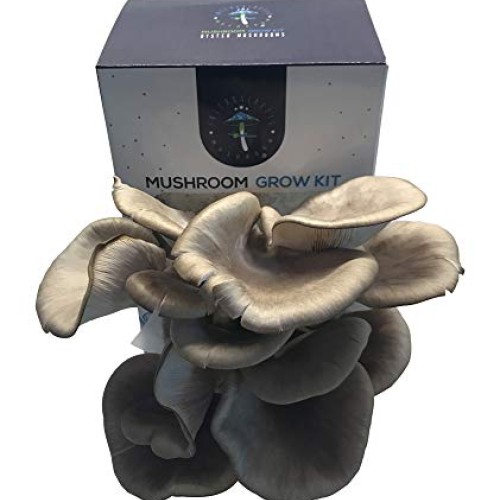 Oyster Mushroom Growing Kit by Intergalactic Mushroom. Grow Edible...