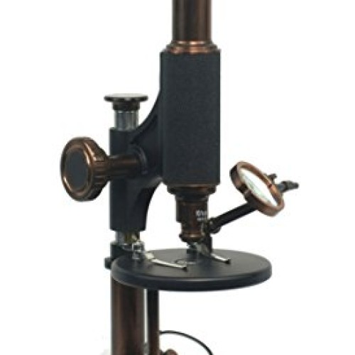 iOptron Electronic Antique Microscope