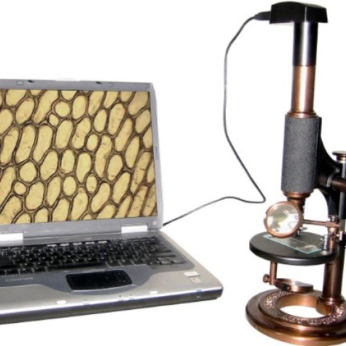 iOptron Electronic Antique Microscope