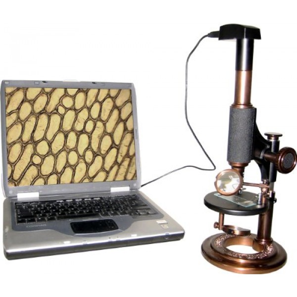 iOptron Electronic Antique Microscope