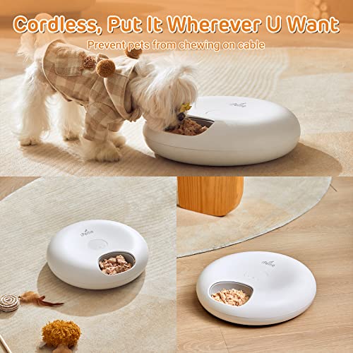 iPettie Donuts Frost 6 Meal Cordless Automatic Pet Feeder, Dry & W...