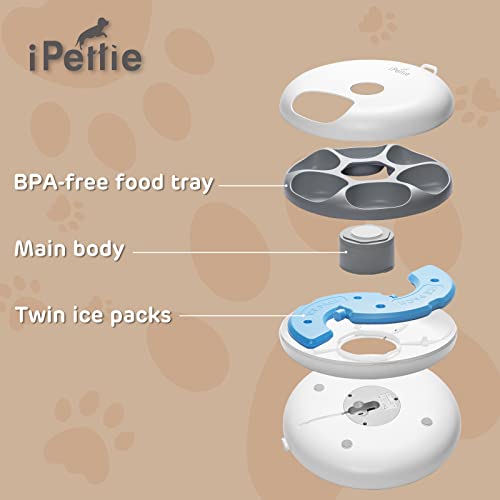 iPettie Donuts Frost 6 Meal Cordless Automatic Pet Feeder, Dry & W...