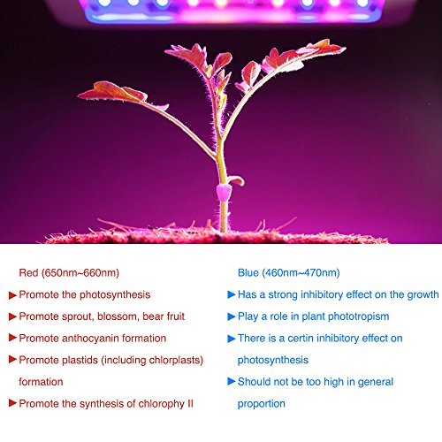 iPower 2-Pack 45-Watt Multi-Spectrum LED Grow Light for Plant Grow...