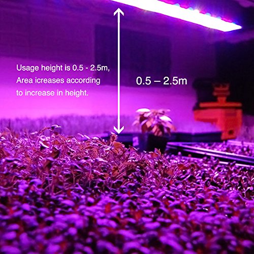 iPower 2-Pack 45-Watt Multi-Spectrum LED Grow Light for Plant Grow...