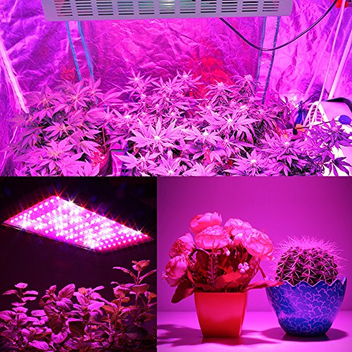 iPower 2-Pack 45-Watt Multi-Spectrum LED Grow Light for Plant Grow...