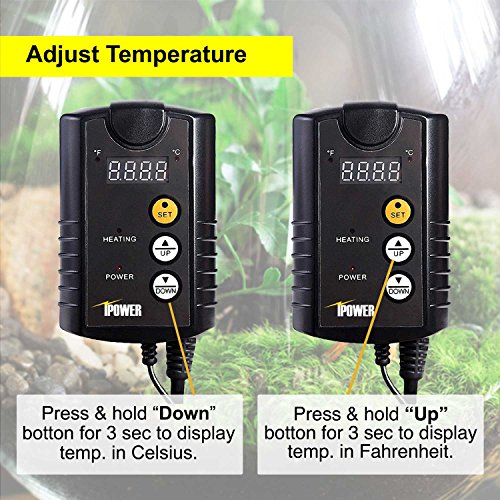 iPower GLHTMTCONTROL 40-108 Degrees Fahrenheit Digital Heat Mat Th...