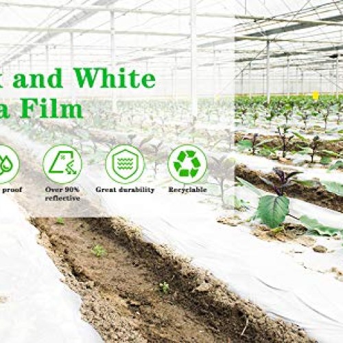 iPower LGFILMPEBW10 Black and White Panda 10 x 10 ft Hydroponics P...
