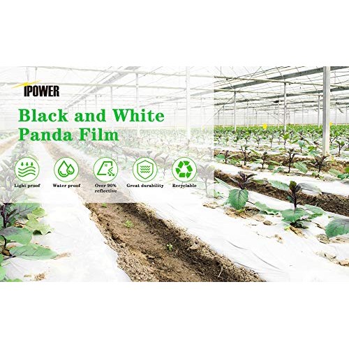 iPower LGFILMPEBW10 Black and White Panda 10 x 10 ft Hydroponics P...