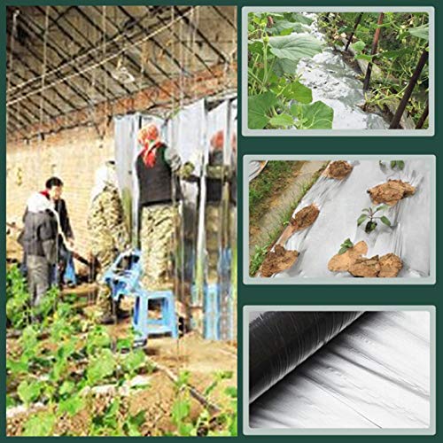 High Silver Reflective Mylar Film Foil Sheet for Garden Greenhouse...