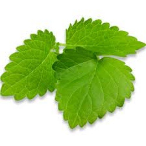 Islands Earth Anal Itch Relief Soothing Herbal Oil. 2.5 oz All Nat...