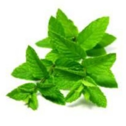 Islands Earth Anal Itch Relief Soothing Herbal Oil. 2.5 oz All Nat...
