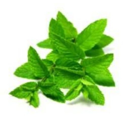 Islands Earth Anal Itch Relief Soothing Herbal Oil. 2.5 oz All Nat...