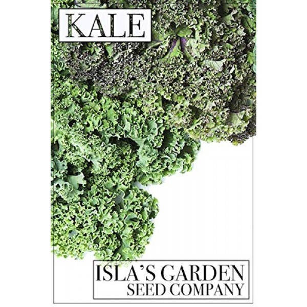 Dwarf Siberian Kale Seeds, 500+ Premium Heirloom Seeds, Popular Ch...