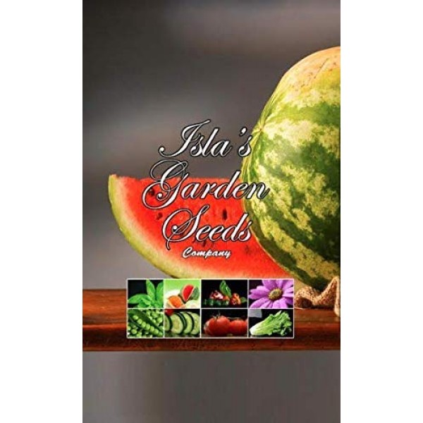 Honey Dew Melon Seeds, 30+ Premium Heirloom Seeds, On Sale, Isla...