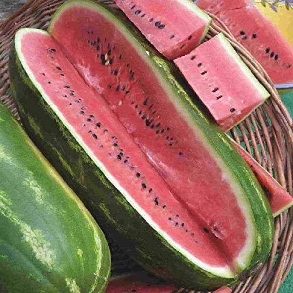 Jubilee Sweet Watermelon Seeds, 75+ Premium Heirloom Seeds,Giant L...