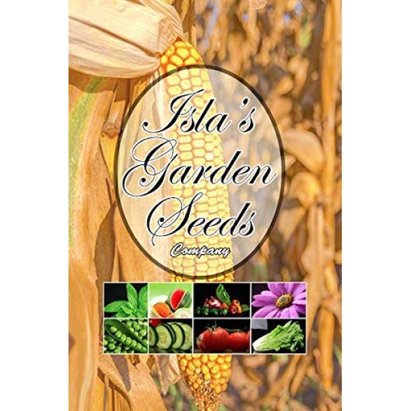 Peaches and Cream Hybrid Bicolor Sweet Corn Seeds, 25+ Premium H...