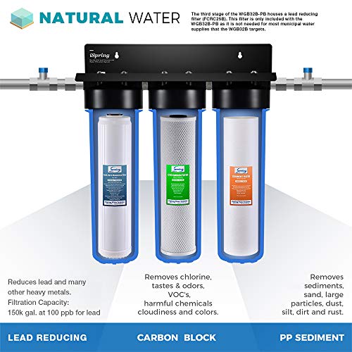iSpring WGB32B-PB+AHPF12MNPT16X2 whole house water filter, blue