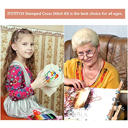 Counted Cross Stitch Kits 21x21 inch Holiday Gift Easy Cross-Stitc...