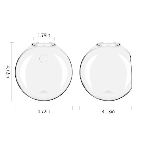 Ivolador 2PCS Terrarium Container Flower Planter Vase Hanging Glas...