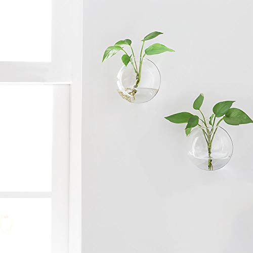 Ivolador 2PCS Terrarium Container Flower Planter Vase Hanging Glas...
