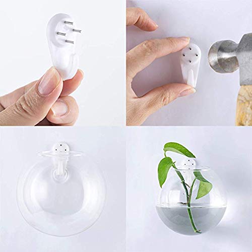 Ivolador 2PCS Terrarium Container Flower Planter Vase Hanging Glas...