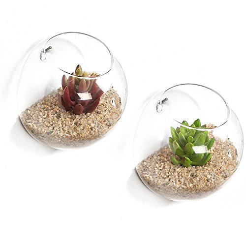 Ivolador 2PCS Terrarium Container Flower Planter Vase Hanging Glas...