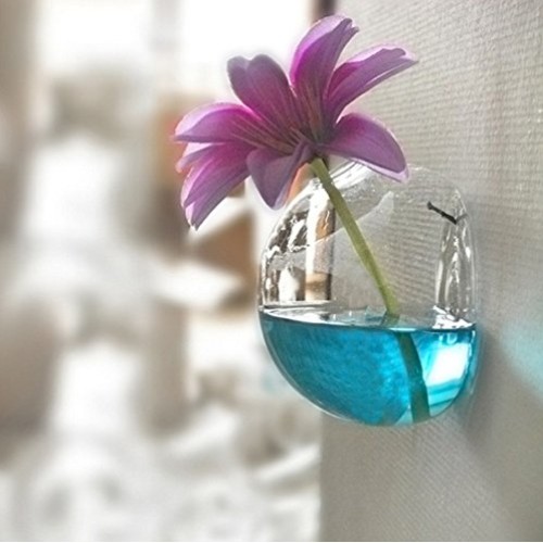 Ivolador 2PCS Terrarium Container Flower Planter Vase Hanging Glas...