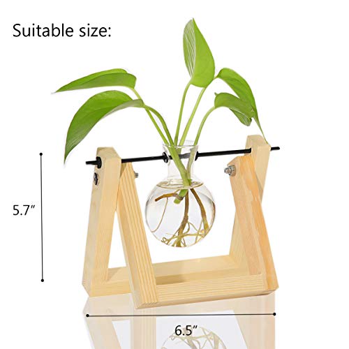 Ivolador Desktop Glass Planter Bulb Vase with Retro Solid Wooden S...