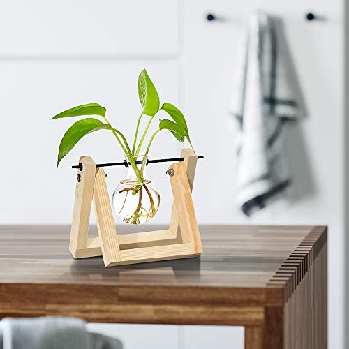 Ivolador Desktop Glass Planter Bulb Vase with Retro Solid Wooden S...