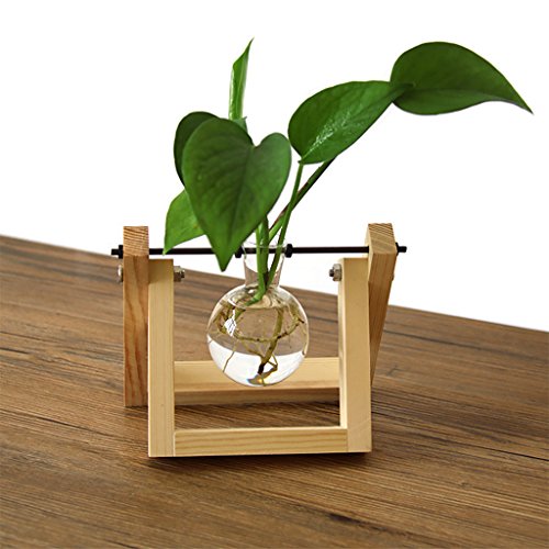 Ivolador Desktop Glass Planter Bulb Vase with Retro Solid Wooden S...