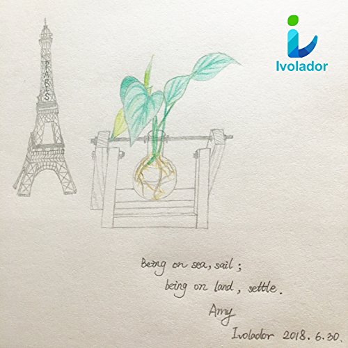 Ivolador Desktop Glass Planter Bulb Vase with Retro Solid Wooden S...