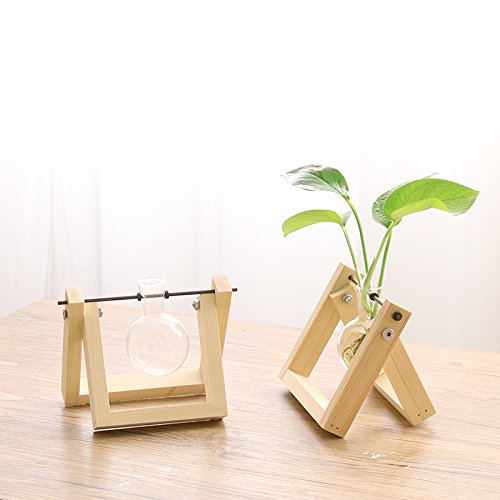 Ivolador Desktop Glass Planter Bulb Vase with Retro Solid Wooden S...