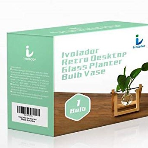 Ivolador Desktop Glass Planter Bulb Vase with Retro Solid Wooden S...