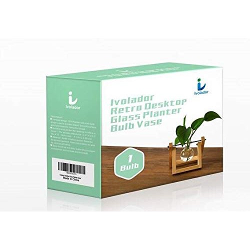 Ivolador Desktop Glass Planter Bulb Vase with Retro Solid Wooden S...