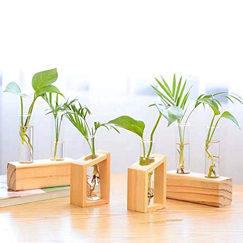 Ivolador Glass Propagation Glass Test Tube Plant Terrarium Mini Va...
