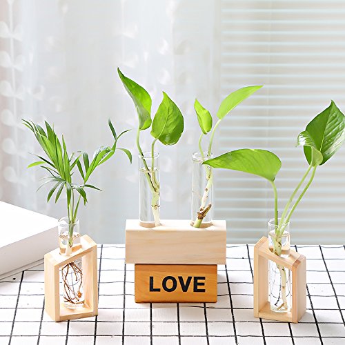Ivolador Glass Propagation Glass Test Tube Plant Terrarium Mini Va...