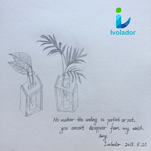 Ivolador Glass Propagation Glass Test Tube Plant Terrarium Mini Va...