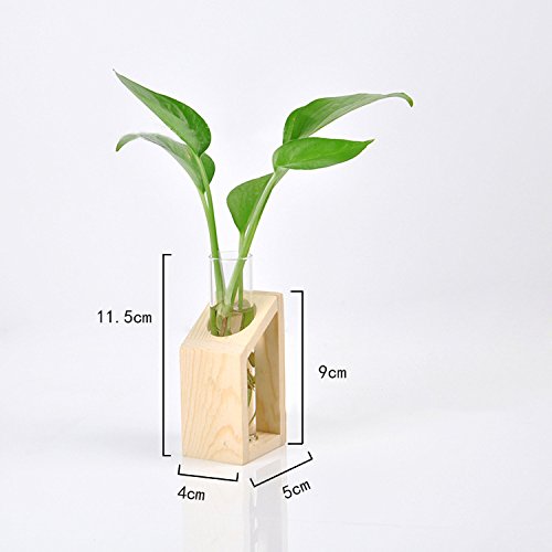 Ivolador Glass Propagation Glass Test Tube Plant Terrarium Mini Va...