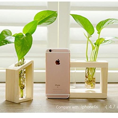Ivolador Glass Propagation Glass Test Tube Plant Terrarium Mini Va...