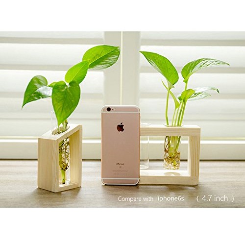 Ivolador Glass Propagation Glass Test Tube Plant Terrarium Mini Va...