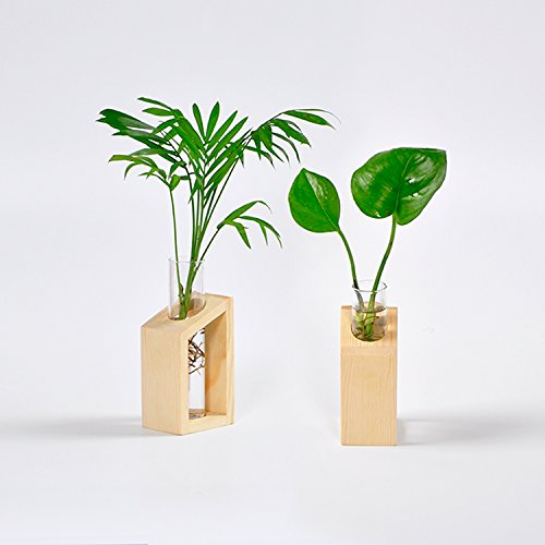 Ivolador Glass Propagation Glass Test Tube Plant Terrarium Mini Va...