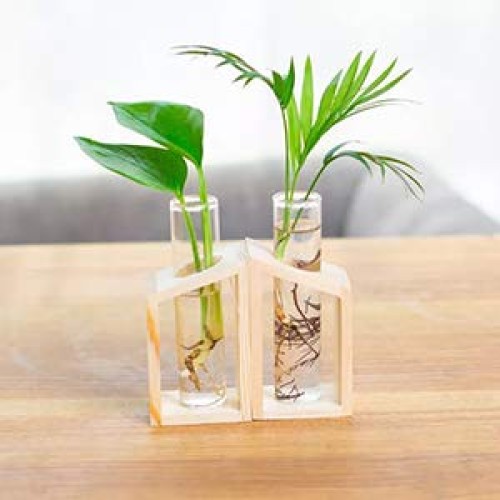 Ivolador Glass Propagation Glass Test Tube Plant Terrarium Mini Va...