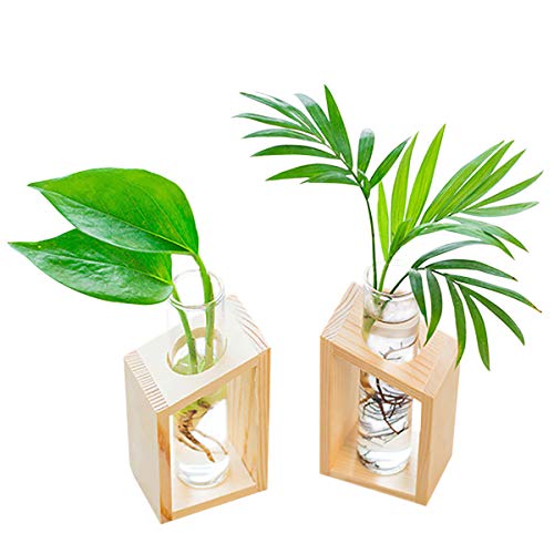 Ivolador Glass Propagation Glass Test Tube Plant Terrarium Mini Va...