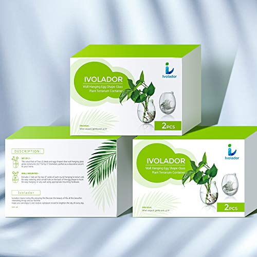 Ivolador Wall Hanging Propagation Glass Plant Terrarium Container ...