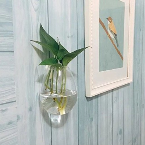 Ivolador Wall Hanging Propagation Glass Plant Terrarium Container ...