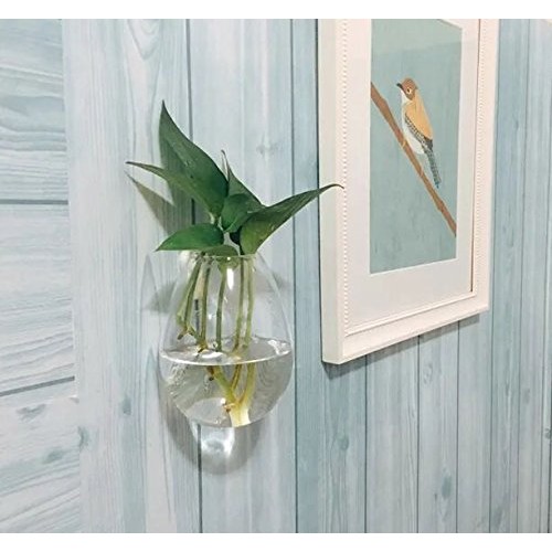 Ivolador Wall Hanging Propagation Glass Plant Terrarium Container ...
