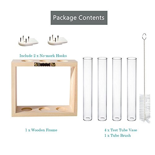 Ivolador Wall Mounted Hanging Planter Test Tube Flower Bud Vase Ta...