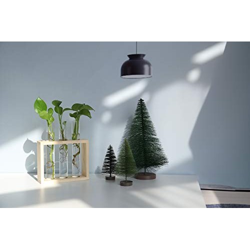 Ivolador Wall Mounted Hanging Planter Test Tube Flower Bud Vase Ta...